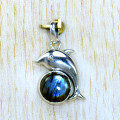 Animal Life Jewelry