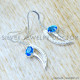 Blue Topaz 925 Sterling Silver Earrings (SJWE-1216)
