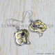 Garnet 925 Sterling Silver Earrings (SJWE-565)