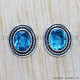 Blue Topaz 925 Sterling Silver Earrings (SJWES-142) Blue Topaz 925 Sterling Silver Earrings (SJWES-142)