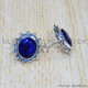 Sapphire 925 Sterling Silver Earrings (SJWES-269)
