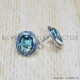 Blue Topaz 925 Sterling Silver Earrings (SJWES-284) Blue Topaz 925 Sterling Silver Earrings (SJWES-284)