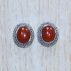 Carnelian Gemstone 925 Sterling Silver Stylish Jewelry Royal Stud Earring SJWES-323