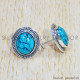 Turquoise 925 Sterling Silver Earrings (SJWES-338)