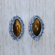 Anniversary Gift Tiger Eye Gemstone Jewelry 925 Sterling Silver New Stud Earring SJWES-368