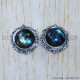 Labradorite 925 Sterling Silver Stud Earrings (SJWES-380)